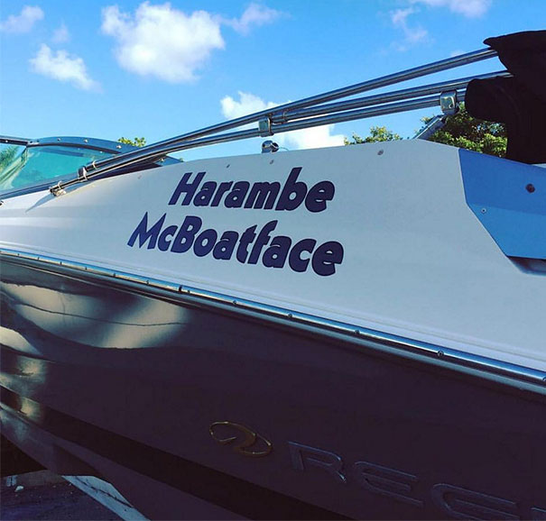 harambe mcboatface